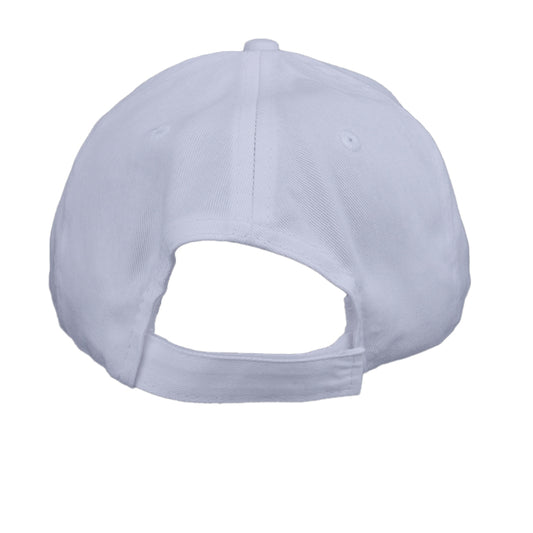 Silver - CP80 - BACK